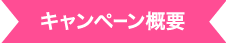 キャンペーン概要