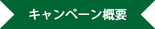 キャンペーン概要